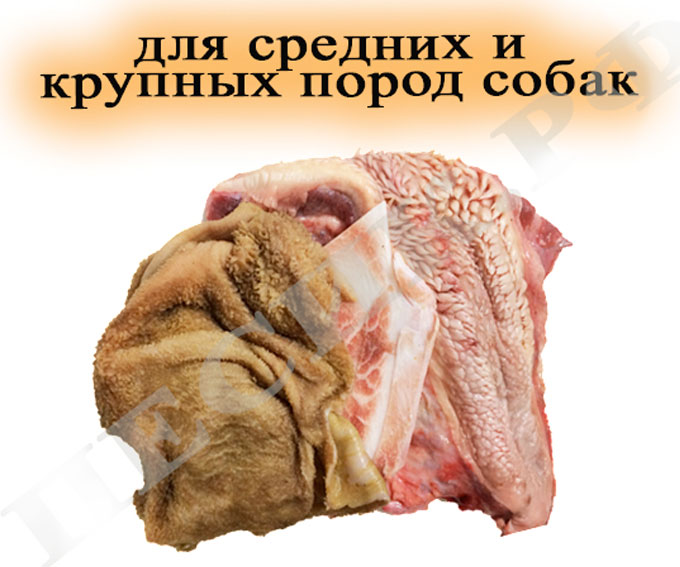 НАБОР № 5