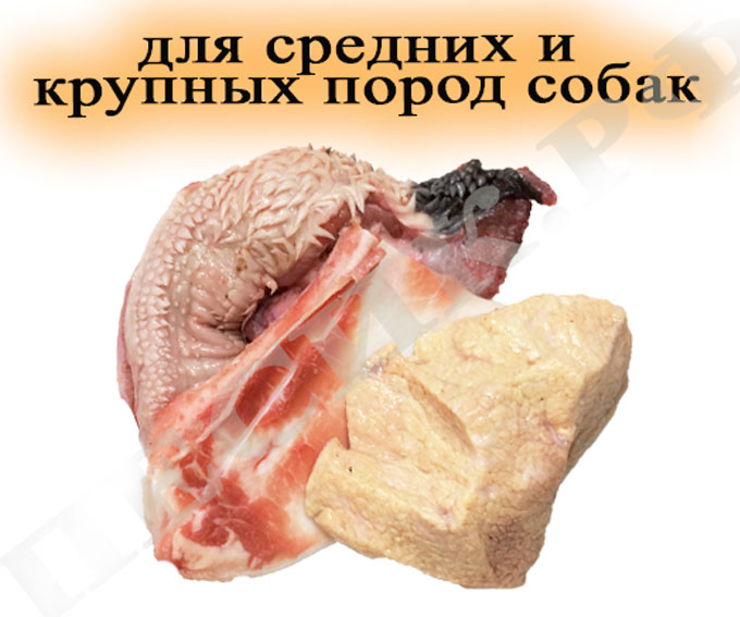 НАБОР № 2