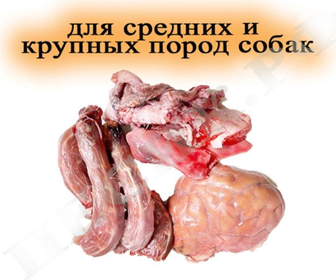НАБОР № 6